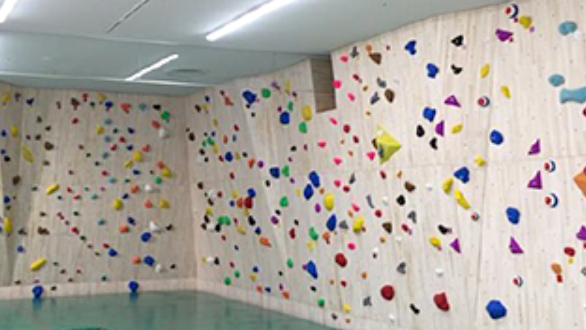 スポーツ オーソリティ 宮崎